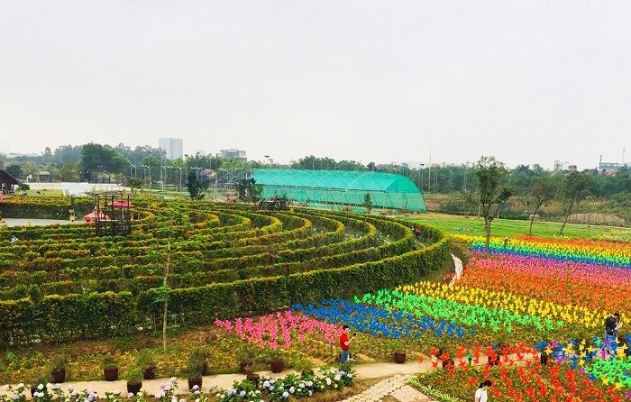 Khám phá công viên hoa hồng Rose park ở Long Biên
