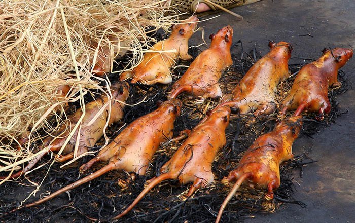 Món chuột đồng Nghệ An – Hương vị mang nét đẹp ẩm thực miền Trung dân dã nhưng không kém phần lôi cuốn