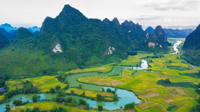 Dòng nước trong xanh uốn lượn qua những thửa ruộng bậc thang chín vàng tại thung lũng Phong Nặm, Trùng Khánh.