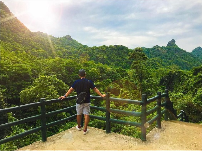 rừng xanh - khung cảnh đẹp xung quanh động Trung Trang Cát Bà