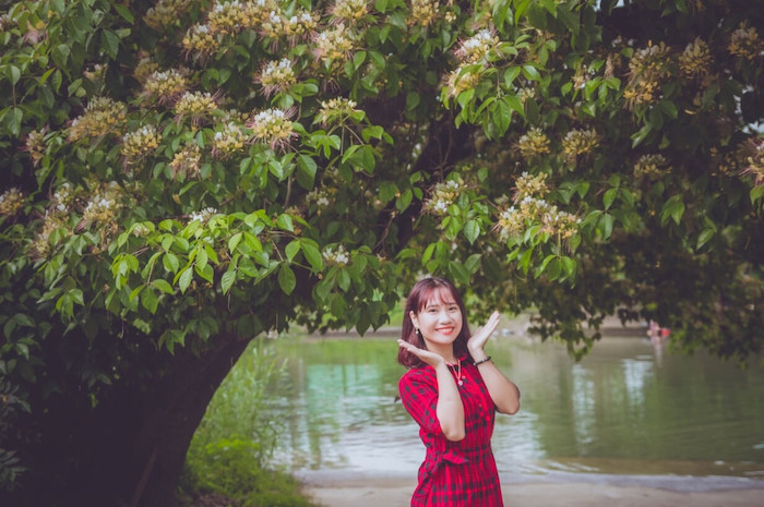 cây bún cổ thụ bên dòng sông Kiến Giang