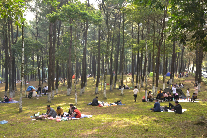Du khách lên cắm trại, dã ngoại tại cốt 400 vườn quốc gia Ba Vì ngày 27/11. Ảnh: Nguyễn Huy