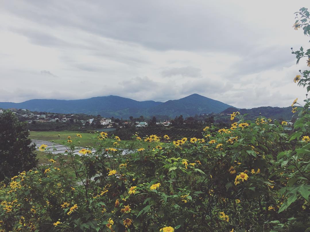 Kinh nghiệm du lịch Di Linh, Lâm Đồng: Nhiều điểm đẹp không tưởng