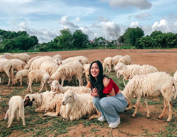 đồng cừu Suối Nghệ - địa điểm chụp ảnh đẹp ở Vũng Tàu