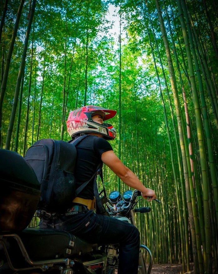 Púng Luông là rừng trúc ở Việt Nam đẹp và hoang sơ