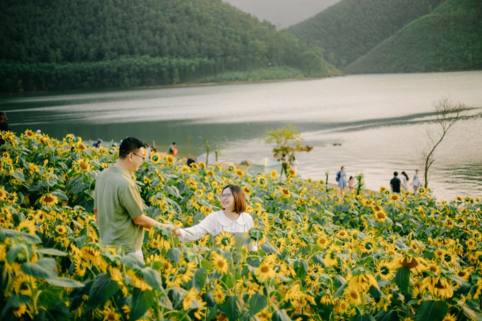 Review hồ Khe Ngang Huế - Điểm trồng hoa hướng dương
