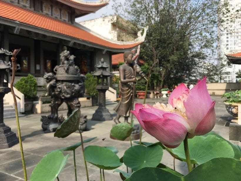 Chùa Vĩnh Nghiêm Sài Gòn: Review kinh nghiệm tham quan, lễ Phật A-Z