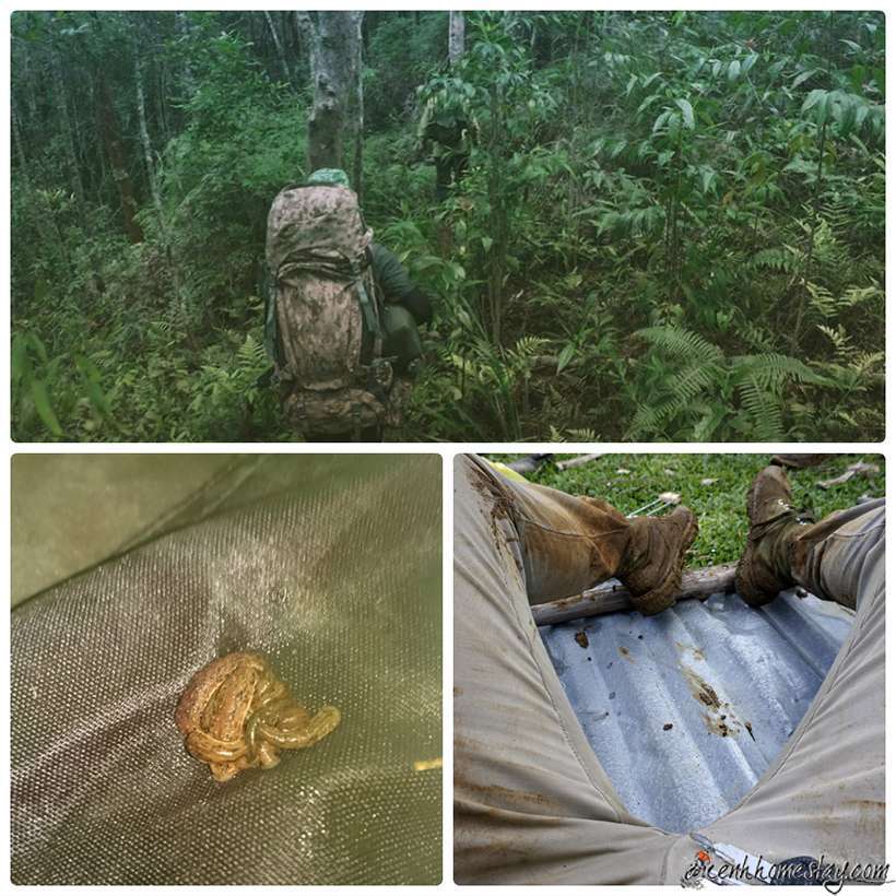 Review kinh nghiệm trekking thác K50 (Hang Én) Kbang Gia Lai tự tức