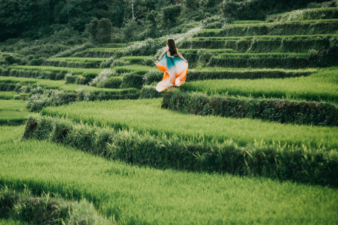 Những cánh đồng lúa xanh rì nối tiếp nhau ở xã Dun, huyện Chư Sê. Ảnh: Nguyễn Tấn Kần