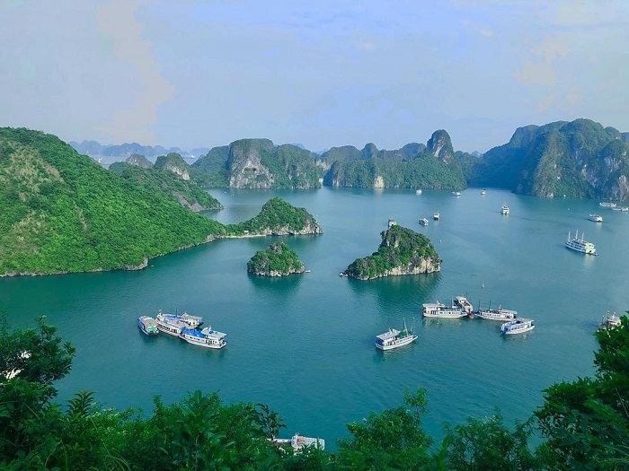 Ha Long travel experience - the view of Ha Long Bay from above