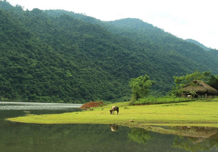 hồ Noong Hà Giang