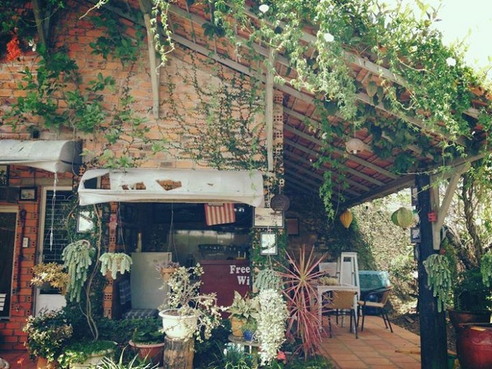 quán cafe cho cặp đôi ở Đà Lạt - Ami cafe xanh mát