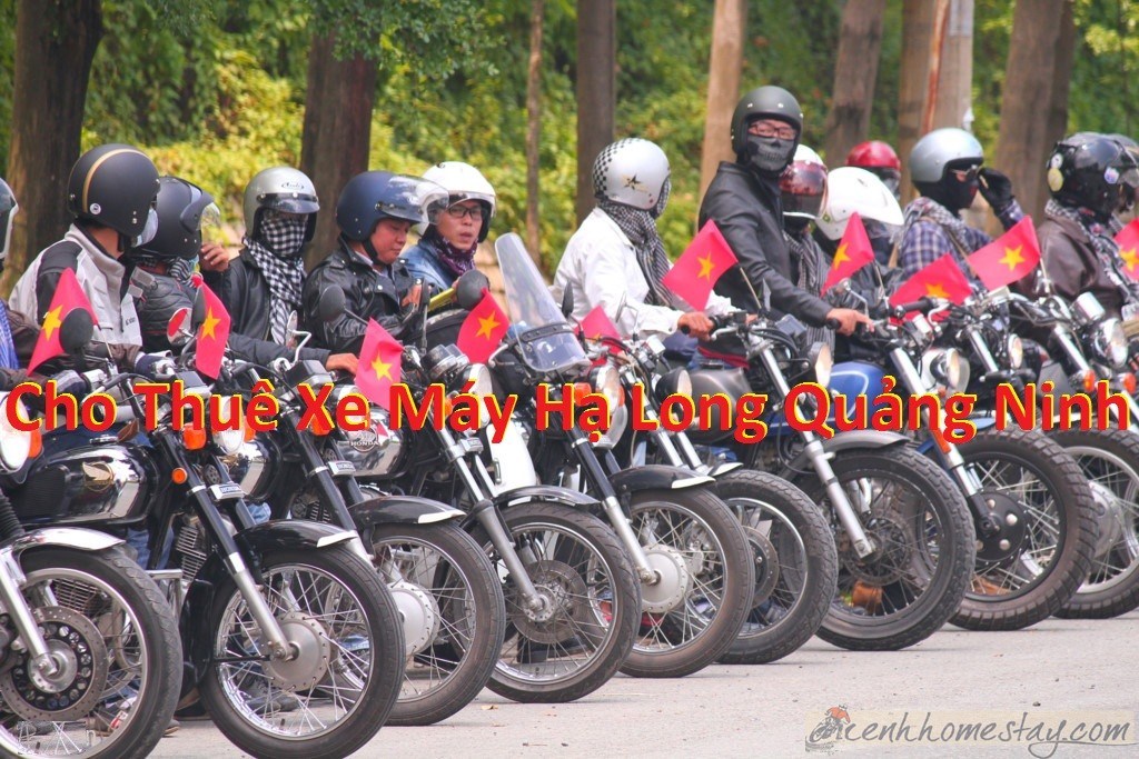 Tổng hợp những địa chỉ cho thuê xe máy Quảng Ninh tốt nhất
