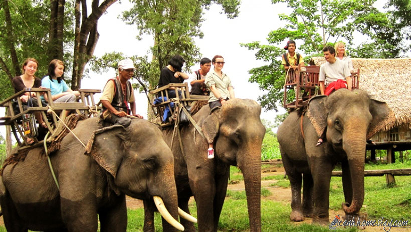 Top 20 Điểm du lịch Đắk Lắk nổi tiếng nhất định phải tham quan