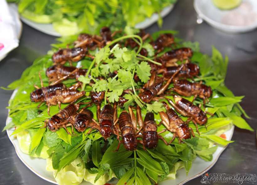 #Top 20 quán ăn ngon Kon Tum nổi tiếng nhất định phải thưởng thức