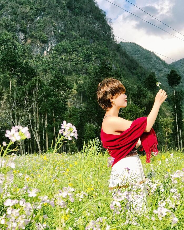 Tương tư mùa hoa tam mạch – ‘Nàng thơ’ xinh đẹp của núi rừng phương Bắc