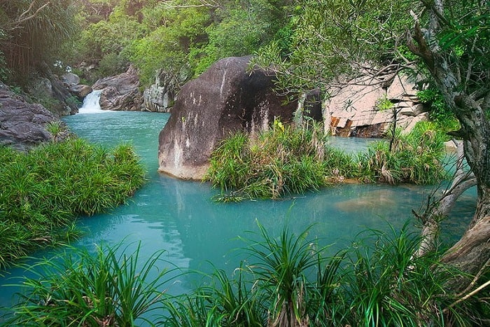 Vườn quốc gia Núi Chúa - Địa điểm du lịch Ninh Thuận nổi tiếng