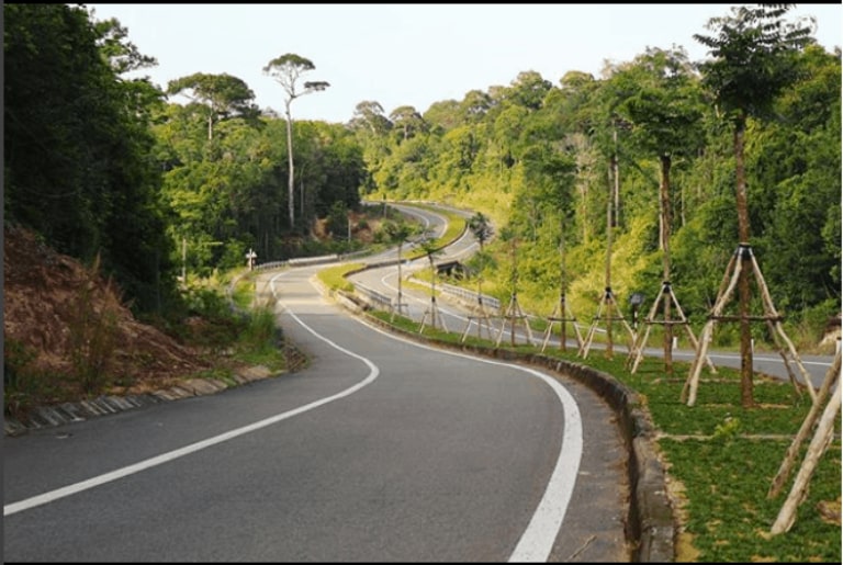 Có rất nhiều lựa chọn để đến rừng quốc gia Phú Quốc