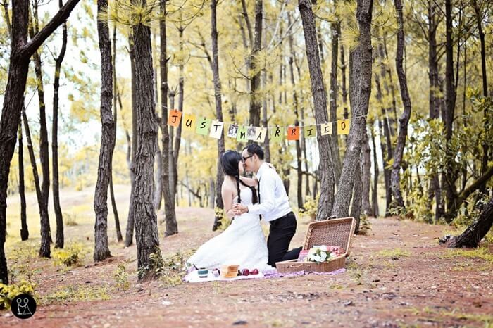 Chụp ảnh cưới bên đồi thông Thanh Thủy