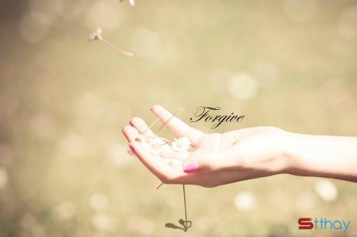 Tổng hợp những status hay nhất về sự thứ tha trong tình yêu