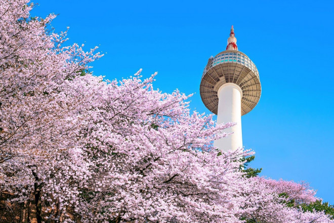 18 hoạt động tốt nhất để làm ở Seoul dành cho những du khách lần đầu ghé thăm - 3