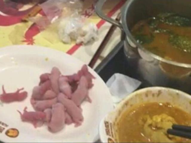 5 món ăn bị cấm ở Trung Quốc, món cuối cùng ngay cả đầu bếp cũng không dám thử - 4