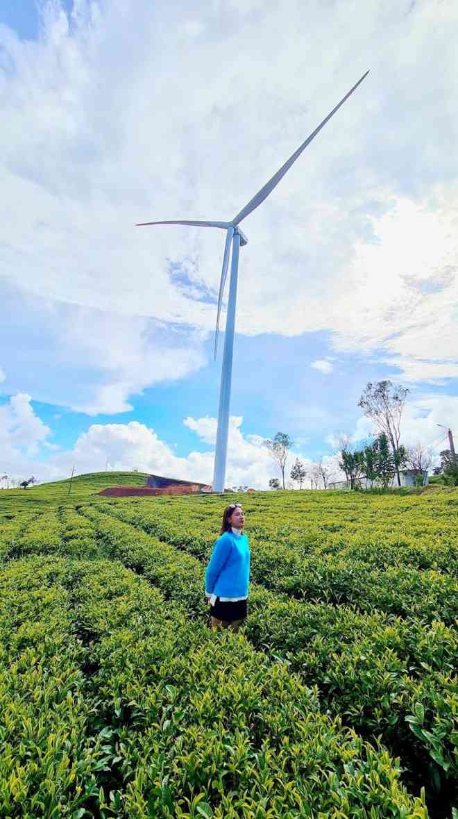 Chơi hè hết 5 cánh đồng điện gió đẹp đỉnh nhất Việt Nam - 11