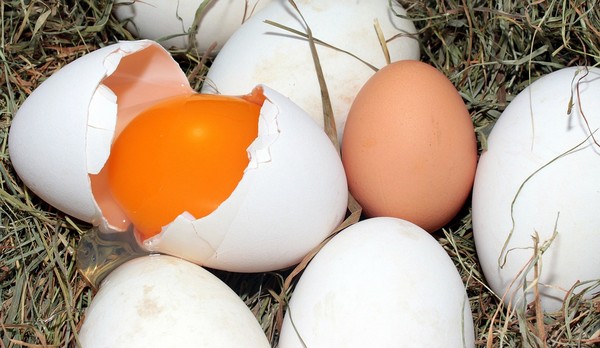 Có phải lòng đỏ trứng càng sẫm màu càng bổ dưỡng? Chuyên gia chỉ ra 2 yếu tố quyết định - 1
