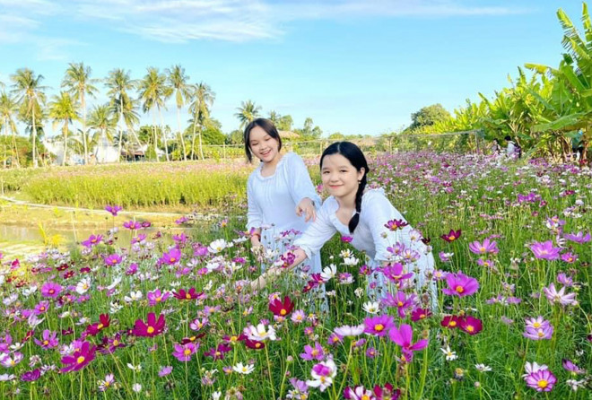 Giới trẻ nườm nượp tới check-in cánh đồng hoa muôn sắc ở Bạc Liêu - 4