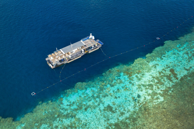 Khách sạn dưới nước cho phép ngắm nhìn rặng san hô vĩ đại nhất thế giới - 1
