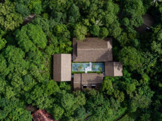 11 khách sạn trong rừng đẹp nhất thế giới, ấn tượng với cái tên đến từ Việt Nam