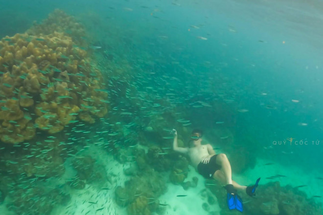 Lặn biểm ngắm san hô ở Phuket đẹp đến không muốn lên bờ - 9