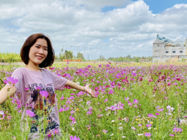 Giới trẻ nườm nượp tới check-in cánh đồng hoa muôn sắc ở Bạc Liêu