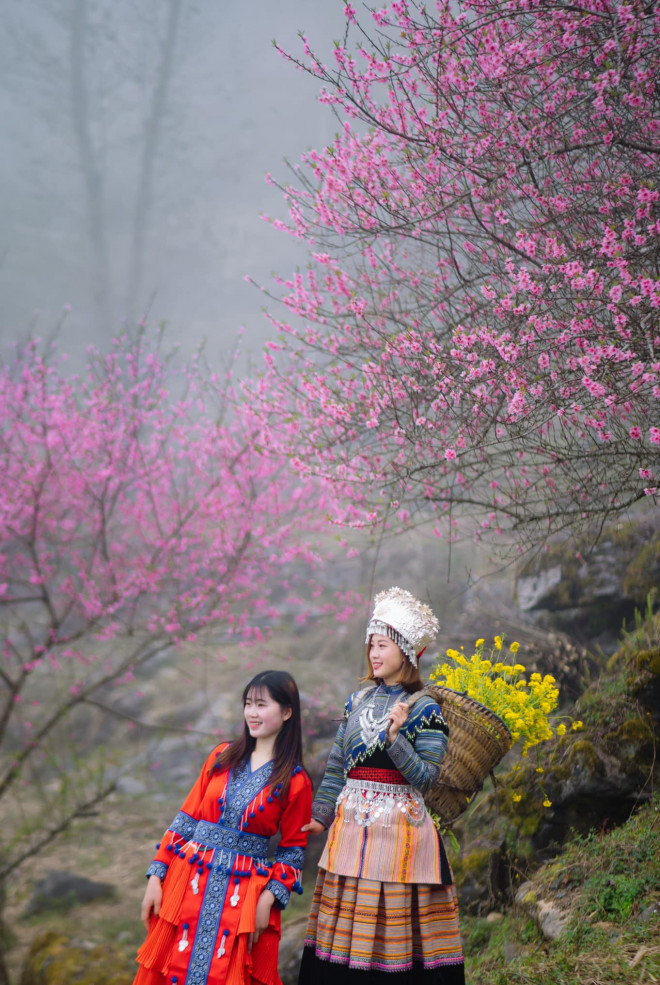 Mùa hoa đào nở muộn ở cao nguyên đá Hà Giang - 8