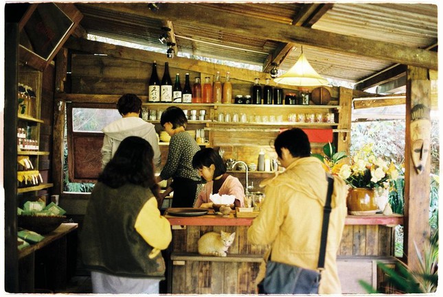 Khám phá những quán cà phê ẩn mình sâu trong các cánh rừng Đà Lạt: Rất xanh và bình yên - 5