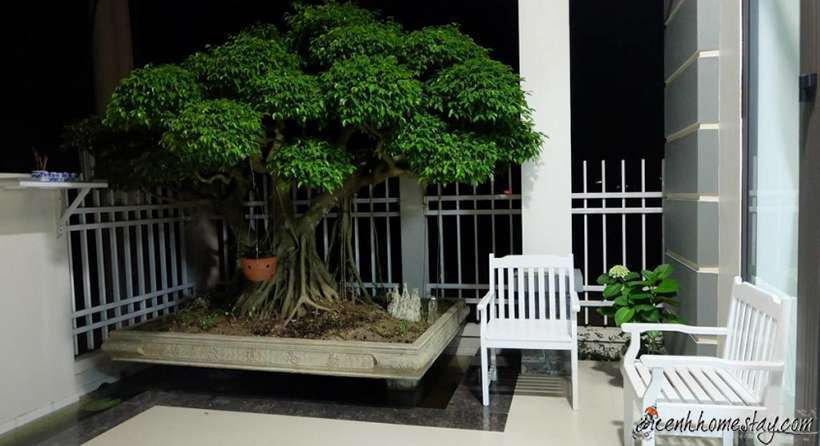 10 Biệt thự villa Đồng Hới Quảng Bình giá rẻ đẹp có hồ bơi nguyên căn