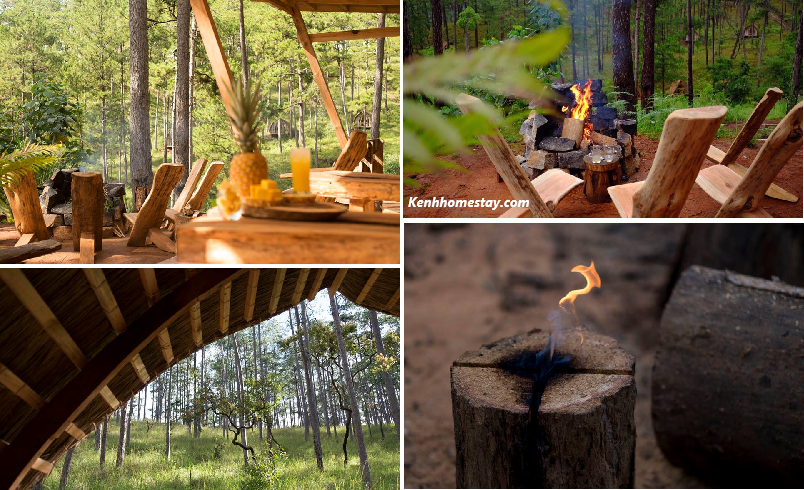 Andante Farm & Lodge – Homestay lọt thỏm giữa rừng thông bình yên Đà Lạt