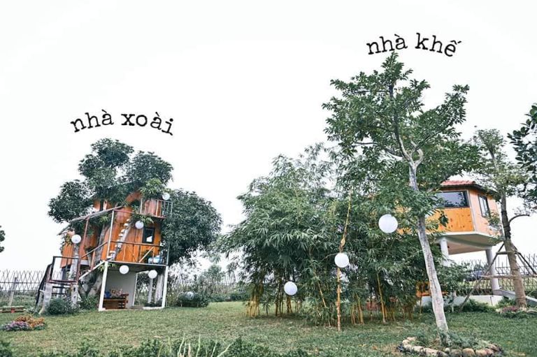 OKia Treehouse | Homestay Hà Nội có bể bơi