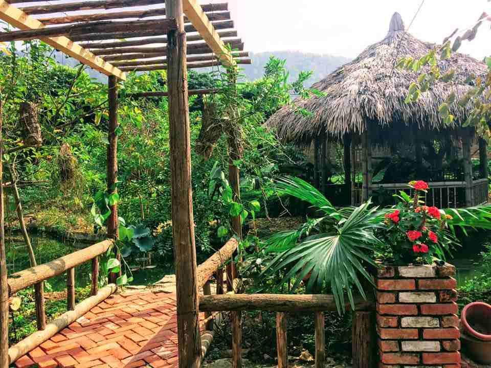 Sân vườn Homestay Hoa Mai Viên Villa Sóc Sơn