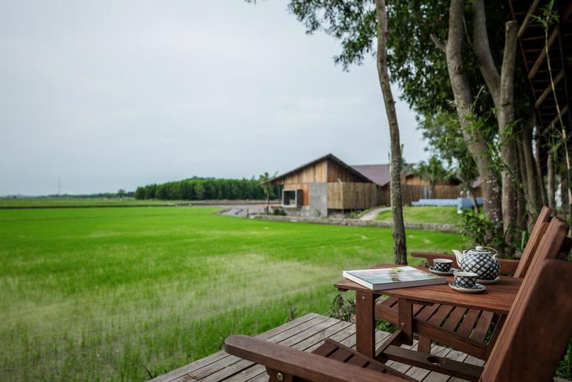 Green Field Resort Hồ Tràm: Kỳ nghỉ đẳng cấp giữa đồng lúa xanh rì