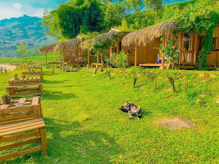 review homestay Utopia Eco Lodge đẹp ở Sapa