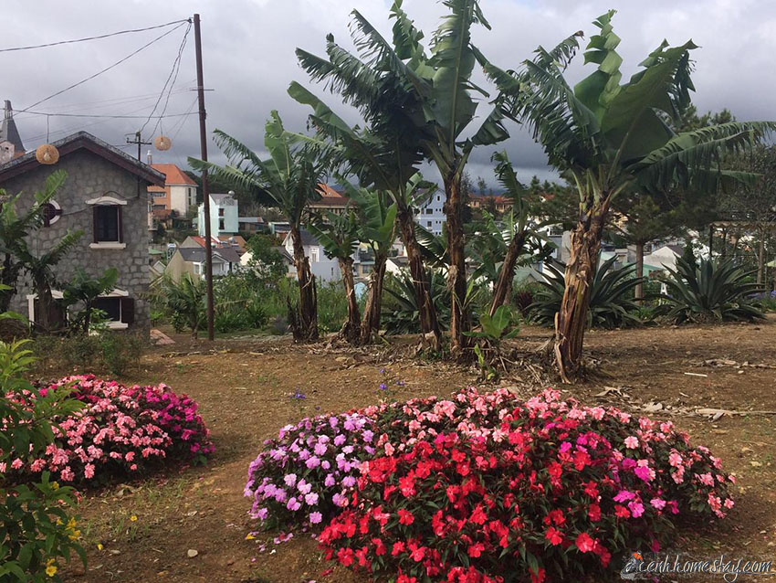 Top 10 Homestay Đà Lạt có vườn farm đẹp cho du khách trải nghiệm