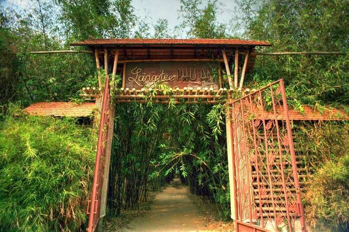 Bình dị làng tre Phú An – Nơi ‘trú ẩn’ cho những tâm hồn yêu nét đẹp thiên nhiên thanh bình, an yên