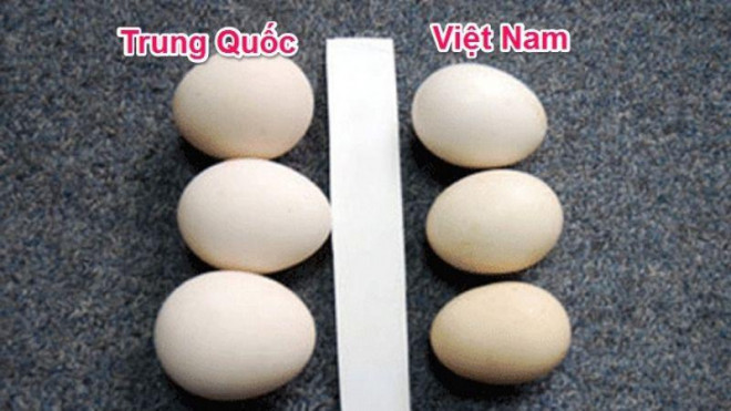 Cách phân biệt trứng gà ta, trứng gà Trung Quốc đơn giản nhưng không phải bà nội trợ nào cũng biết - 3