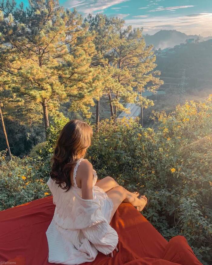 ‘Chill hết nấc’ với những quán cà phê view núi rừng ở Đà Lạt khiến bao tâm hồn mơ mộng say mê