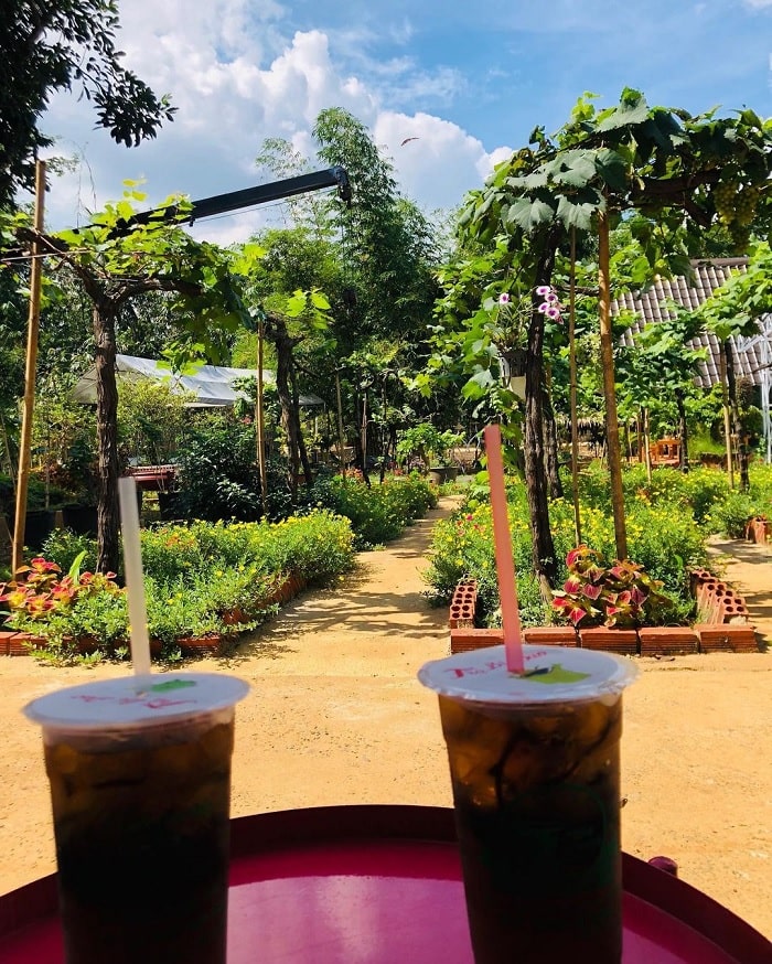 uống trà - hoạt động thú vị tại vườn nho Long Khánh Đồng Nai