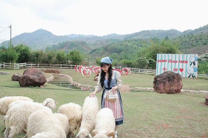Vui chơi với đàn cừu tại KDL Happy Land Mộc Châu 