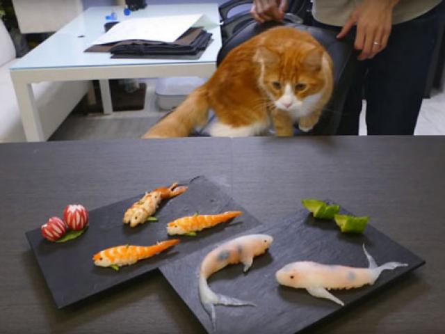 Cách làm Sushi hình con cá đánh lừa được cả mèo