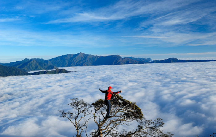 Săn mây trên đỉnh Tà Xùa khi du lịch Trạm Tấu Yên Bái
