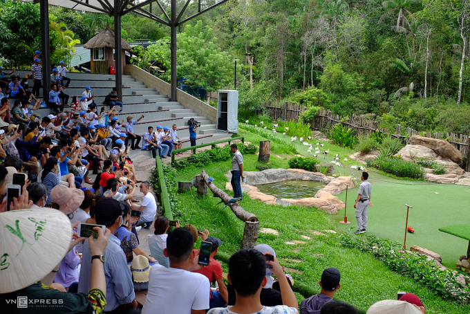 Trong ảnh, du khách xem chim biểu diễn tại Safari Phú Quốc năm 2020. Ảnh:Khánh Hòa